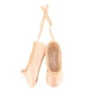 Repetto Miniature Ballet Shoes 2 Repetto Miniature Ballet Shoes -Fashion Clothing Store A032 570 P42 1