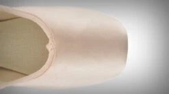 Repetto La Carlotta- Medium 10 Repetto La Carlotta- Medium -Fashion Clothing Store T255MS 315 D2 1 431e35ea 413c 43cf 9278 e4a0ccc055ba