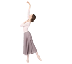 Repetto Rehearsal Skirt-Jupe En Mousseline-Taupe Rose