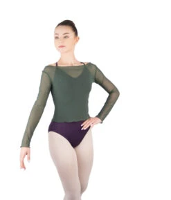 Natasha Mesh Top- Olive