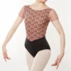 Ballet Rosa- Coralie Toffee -Fashion Clothing Store w3530